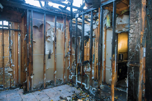 Professional Structural Rebuild technician working in Park Rapids, MN